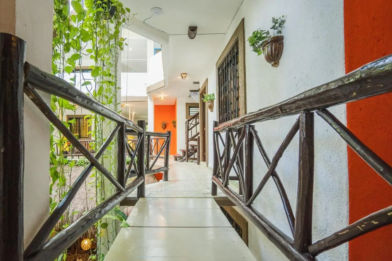 Posada Mariposa Boutique Hotel - 5Th Avenue Playa del Carmen Mexico