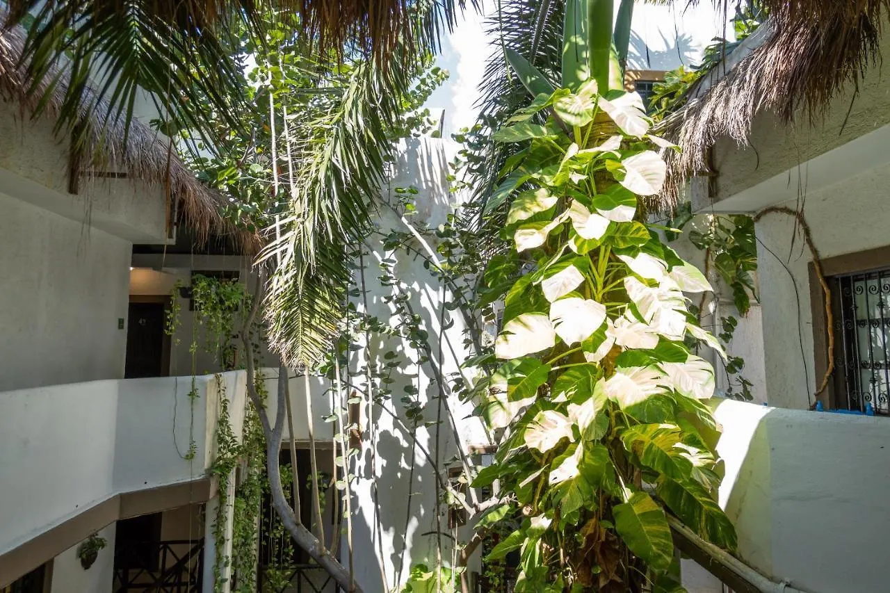 Posada Mariposa Boutique Hotel - 5Th Avenue Playa del Carmen 4*,  Mexico
