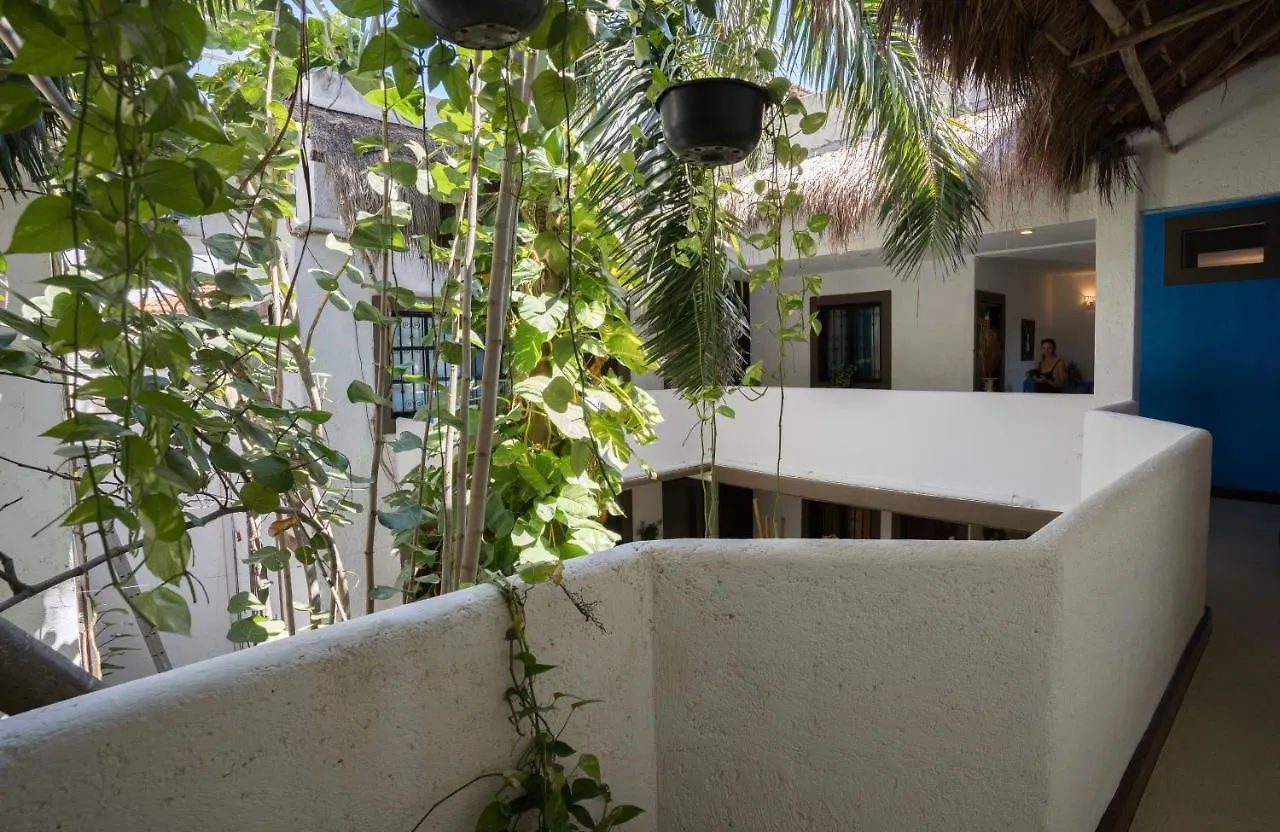 Posada Mariposa Boutique Hotel - 5Th Avenue Playa del Carmen