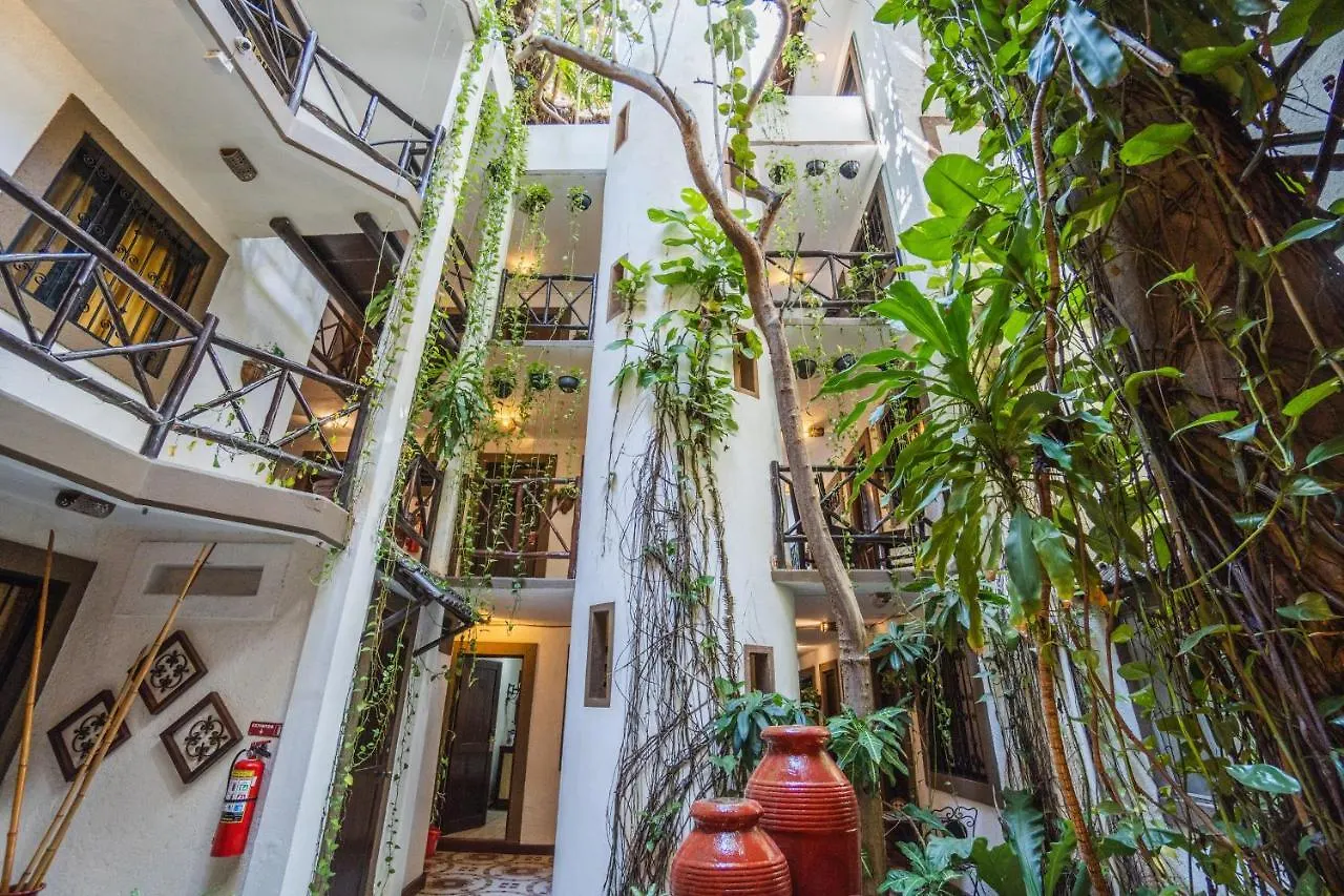 Posada Mariposa Boutique Hotel - 5th Avenue Playa del Carmen