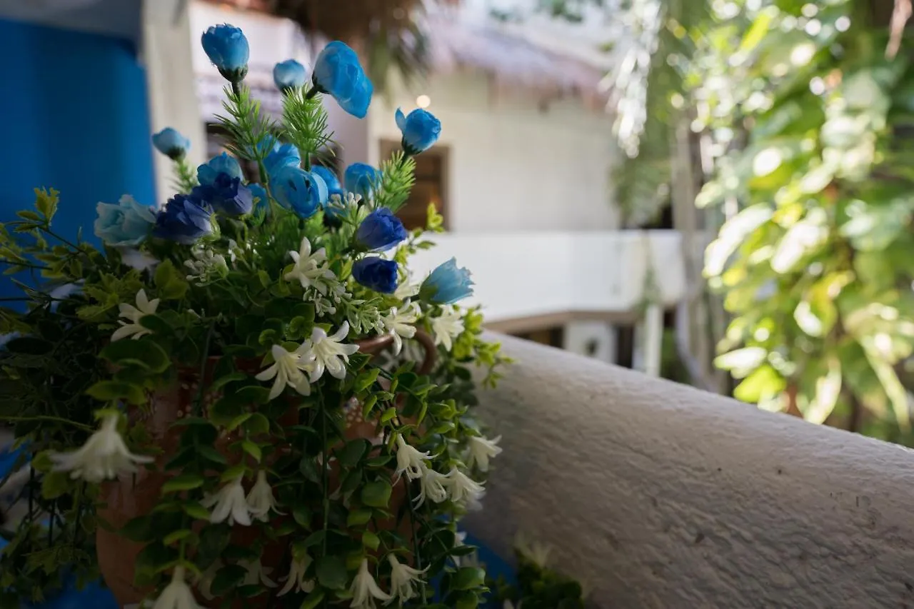 Posada Mariposa Boutique Hotel - 5Th Avenue Playa del Carmen