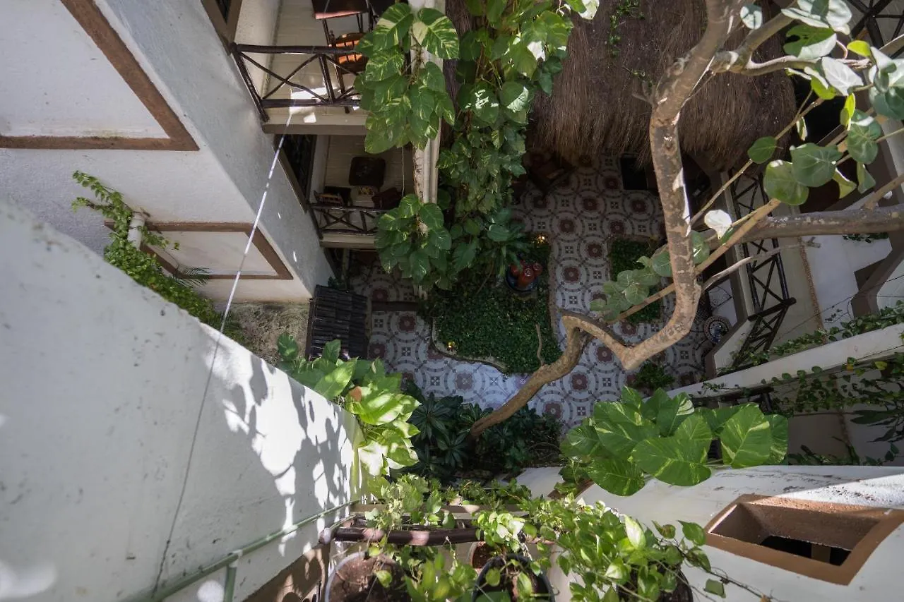 Posada Mariposa Boutique Hotel - 5Th Avenue Playa del Carmen